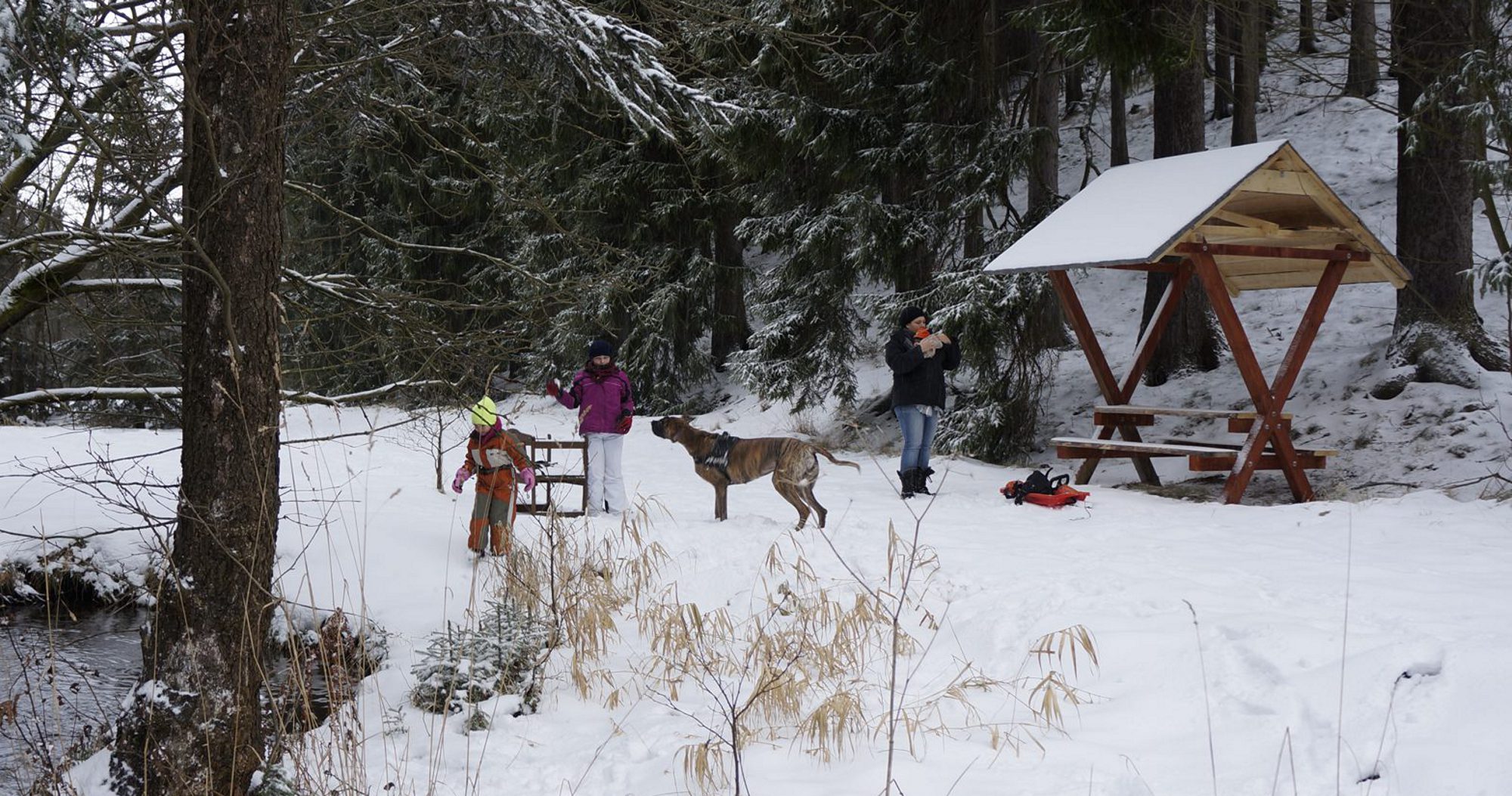 Urlaub mit Hund zu Weihnachten im Erzgebirge